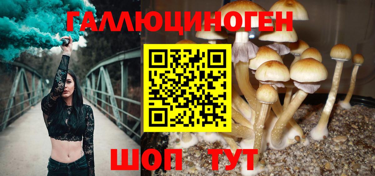 Псилоцибиновые грибы MAGIC MUSHROOMS  Вход с VPN  Галлюциногенные грибы Psilocybine cubensis  Зима 